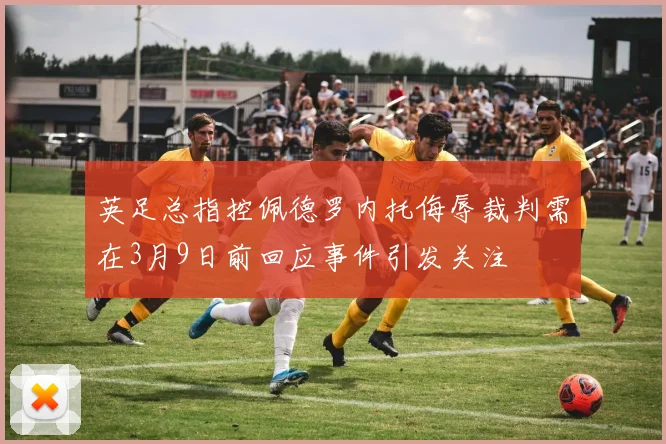 英足总指控佩德罗内托侮辱裁判需在3月9日前回应事件引发关注
