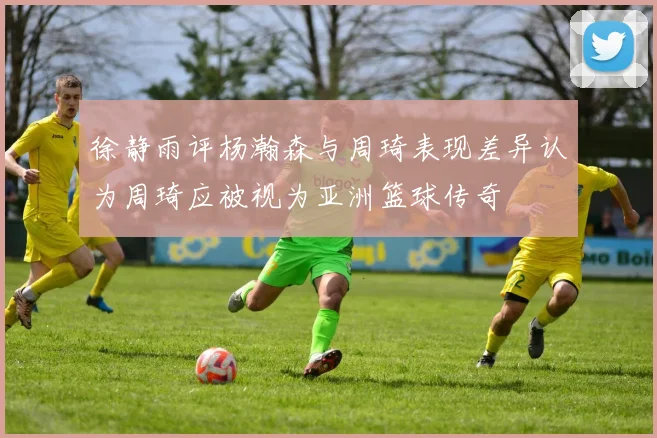 徐静雨评杨瀚森与周琦表现差异认为周琦应被视为亚洲篮球传奇